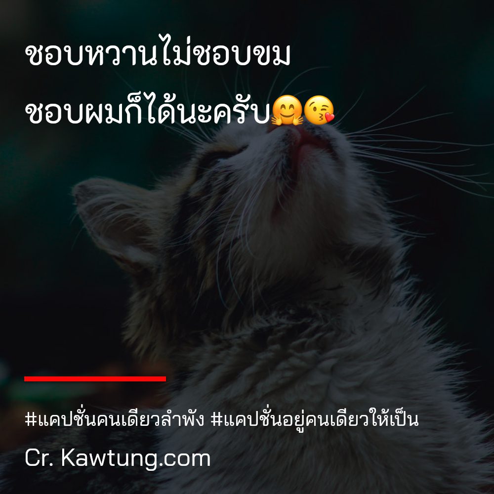 🎊 แคปชั่นเพ้อ แชร์ได้ไม่ต้องเขิน