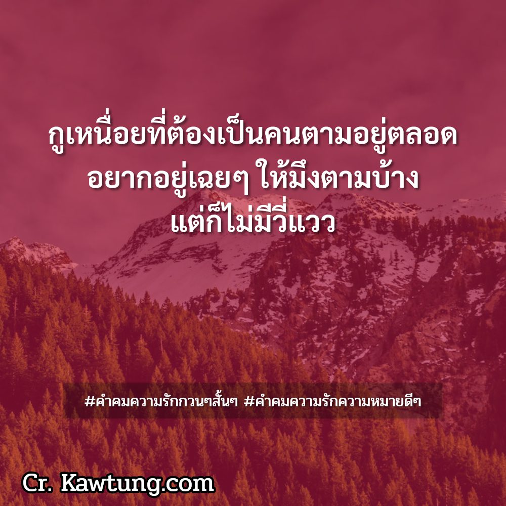 🏂 คำคมคําคมความรักดีๆ คำคมความรัก ไม่โพสต์มันอยู่ไม่ได้