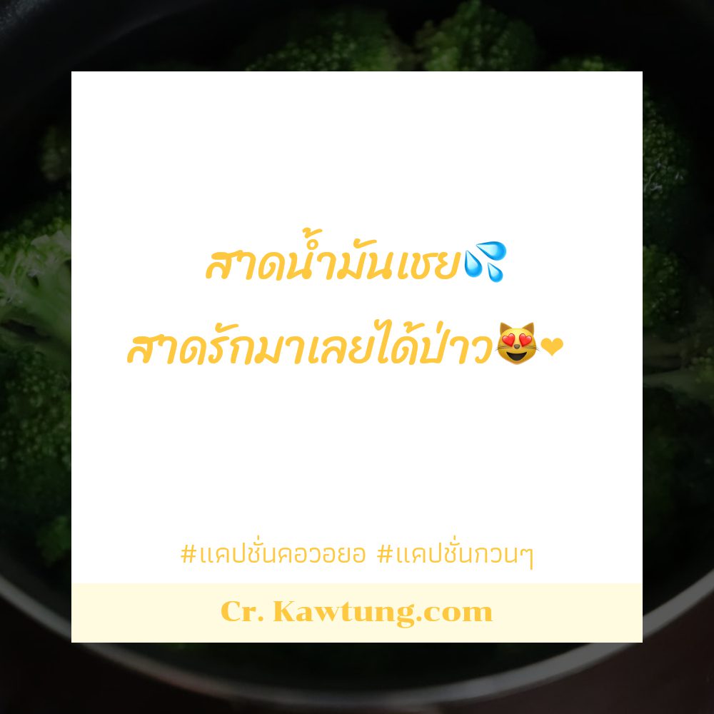 💛 แคปชั่นอ่อยกวนๆ แคปชั่นสวยๆแพงๆ ต้องแชร์แน่นอน