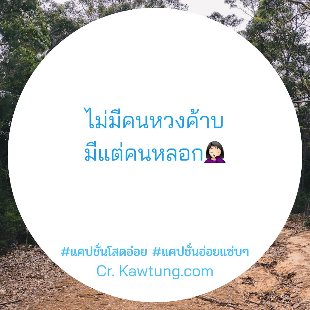 🚴 แคปชั่นโสดอ่อย จากชาวไลน์ ใหม่ 100%