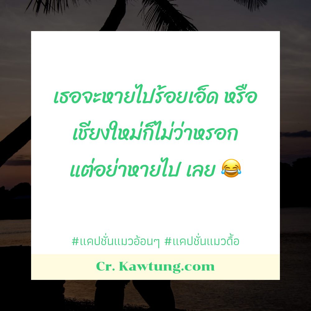🎫 แคปชั่นแมวตัวโปรด แคปชั่นแมวเท่ๆ