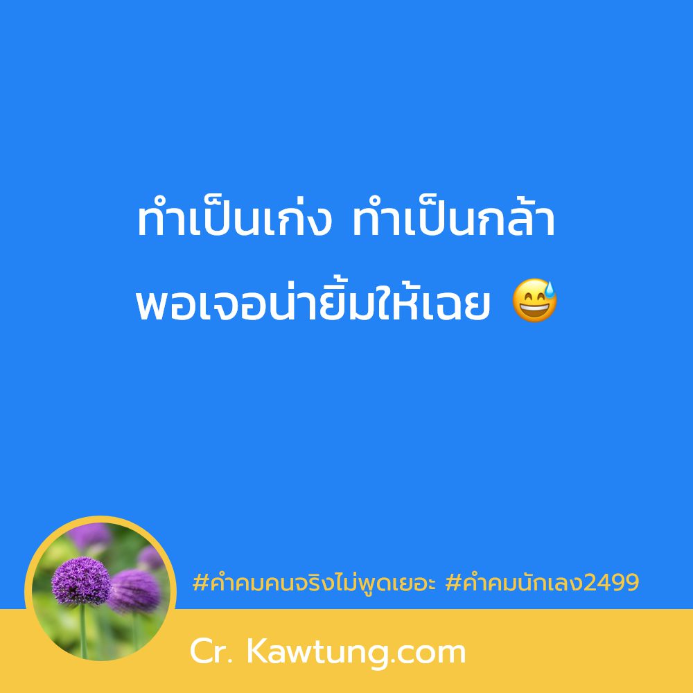 🐰 คำคมนักเลงฮาๆ กวนนิด ฮาหน่อย