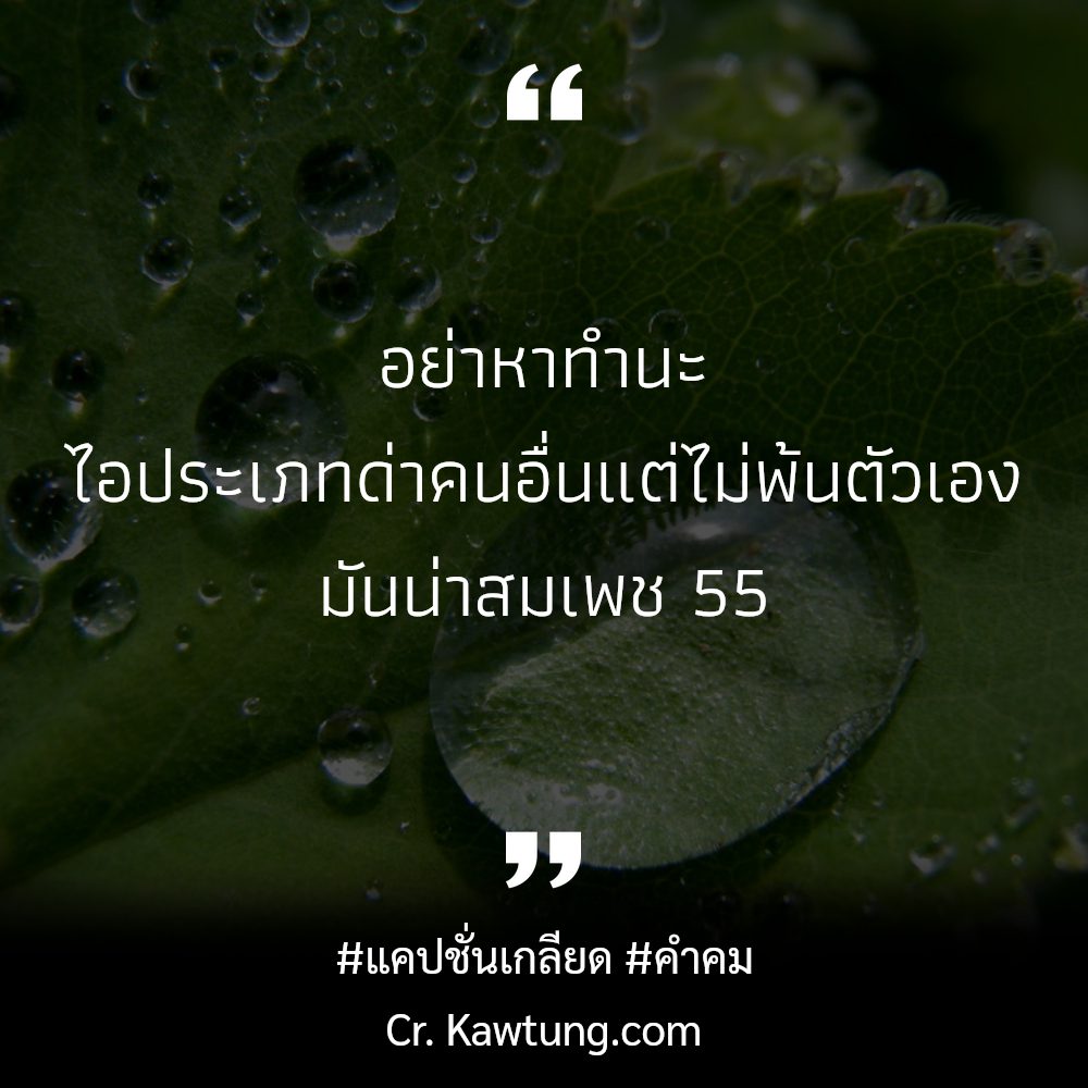 📵 คำคม คำคม จากชาว Line