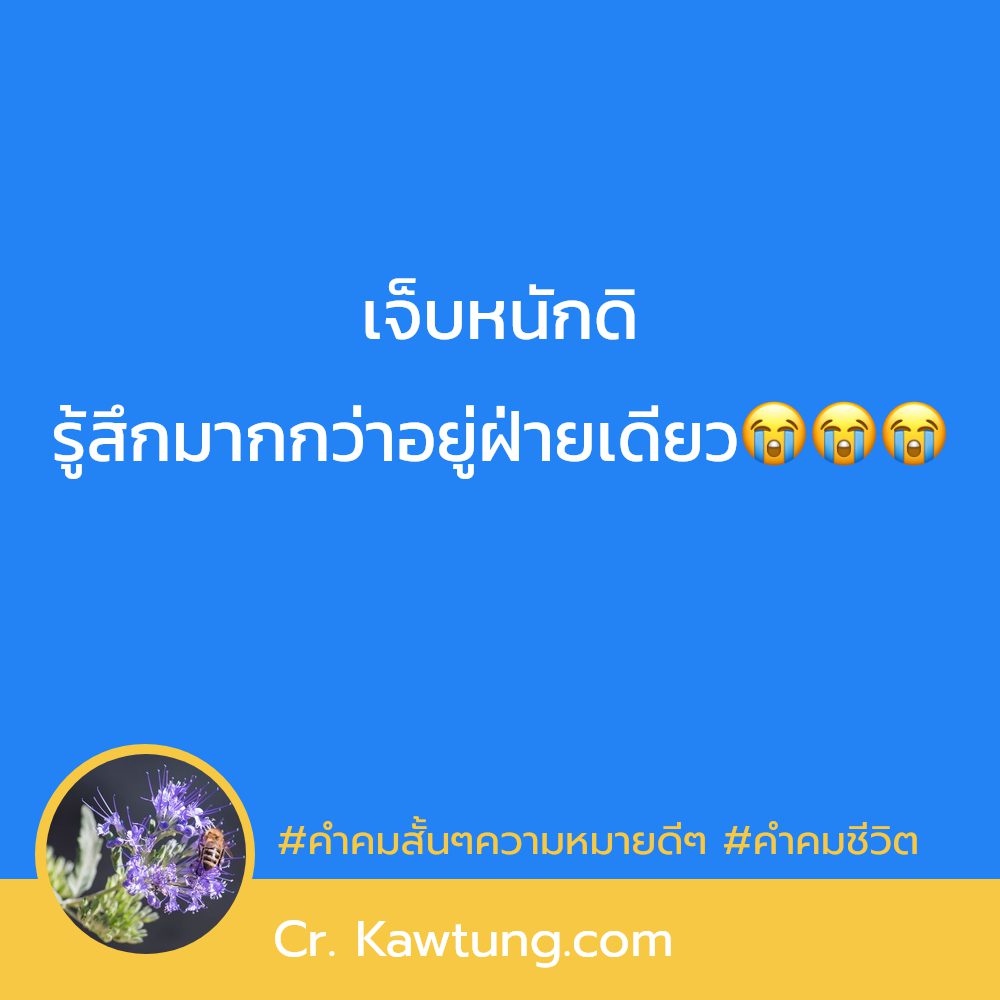 🎻 แคปชั่นชีวิตคิดบวกยิ้มได้ทุกวัน คำคมคํา-คม-สั้น-ๆ-กินใจ