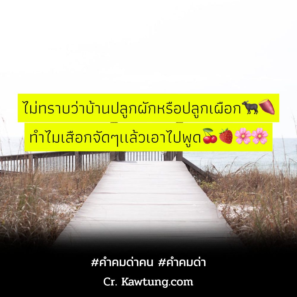 👎 คำคมคําด่าแบบคนฉลาด