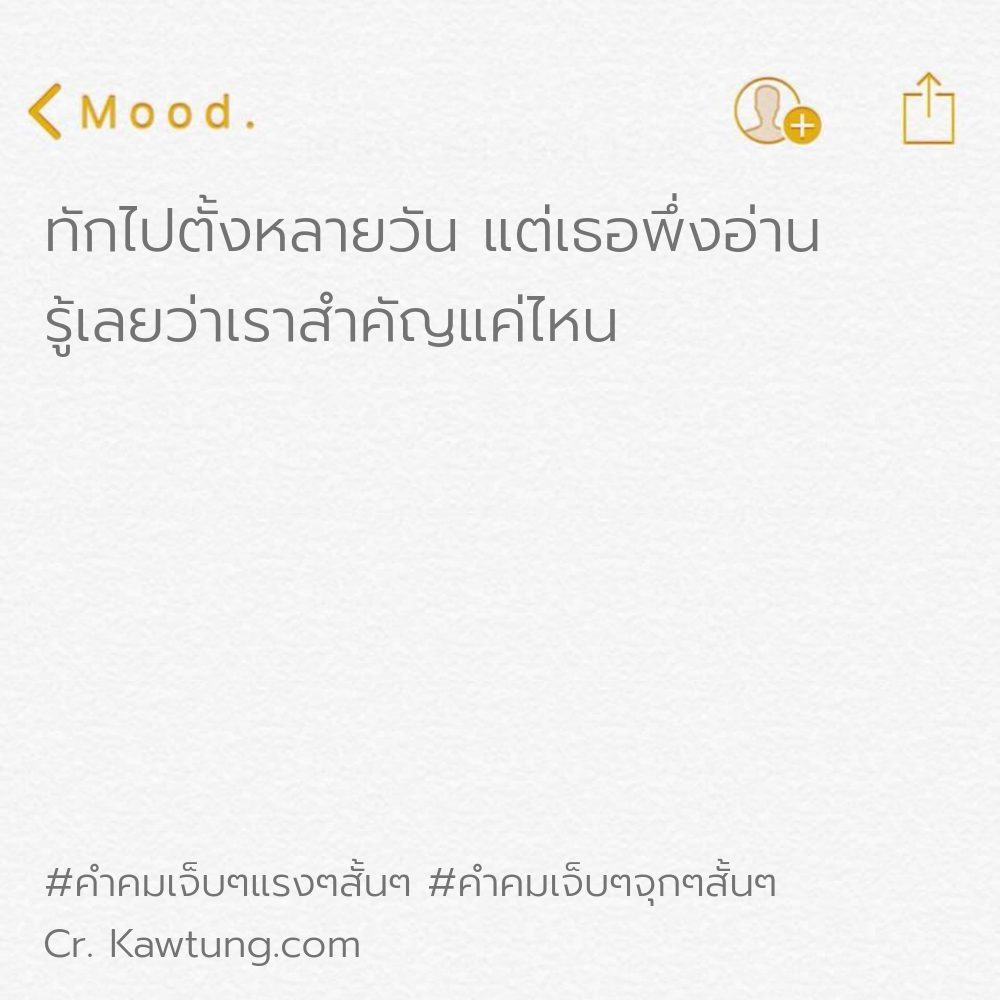 🌼 สเตตัสคําคมเจ็บๆจุกๆสั้นๆ แคปชั่นเจ็บๆแรงๆ แชร์ต่อไม่รอแล้วนะ