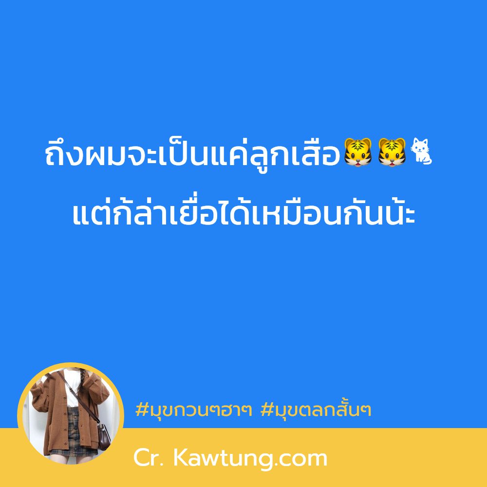 💆 แคปชั่นคําคมเฉียบๆกวนๆ