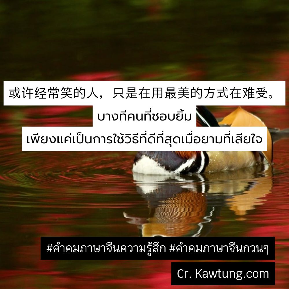 🔋 แคปชั่นคําคมภาษาจีนให้กําลังใจ แคปชั่นภาษาจีนความหมายดีๆสั้นๆ