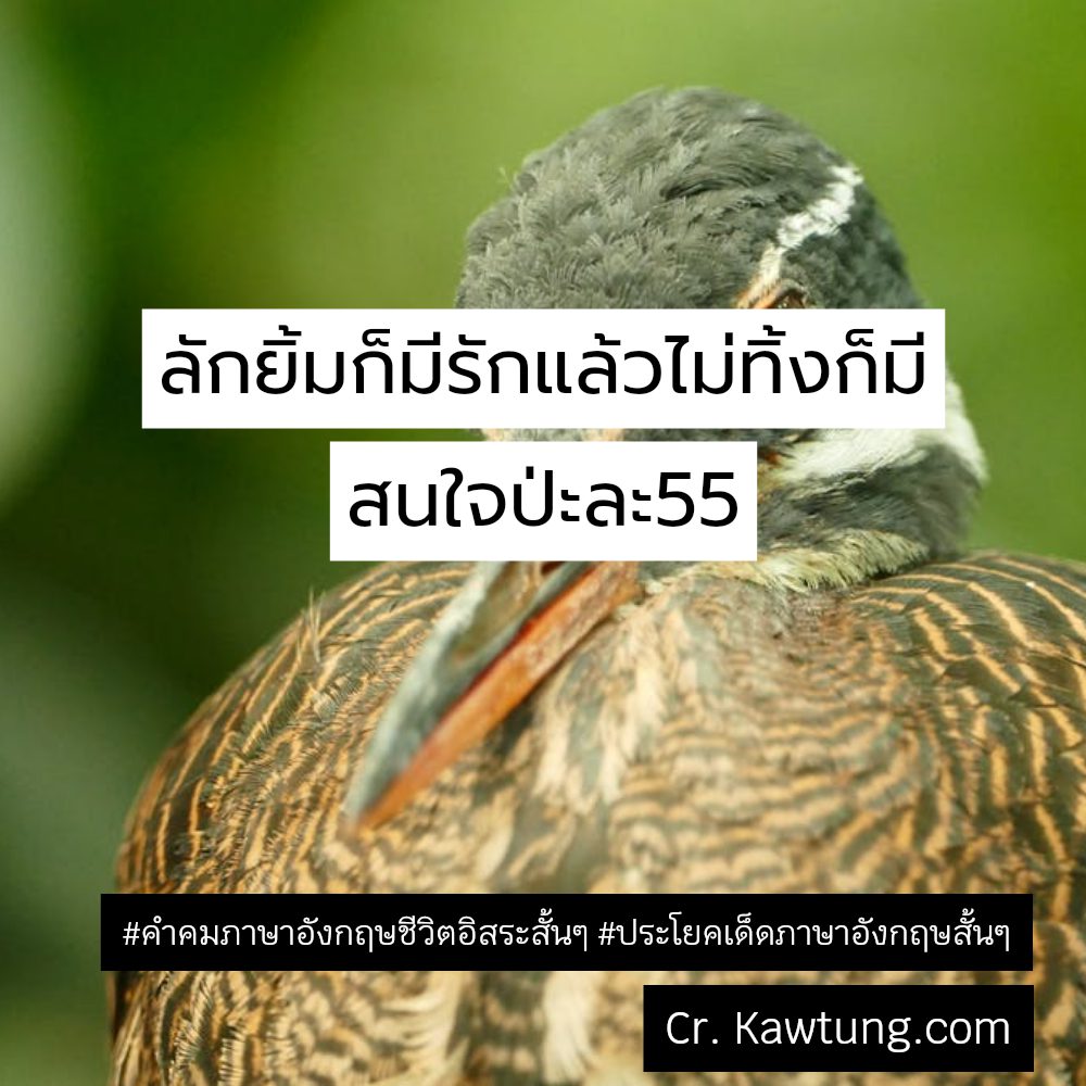 😧 สเตตัสคําคมภาษาอังกฤษชีวิตอิสระสั้นๆ สเตตัสศัพท์อังกฤษเท่ๆสั้นๆ จากชาวไอจี