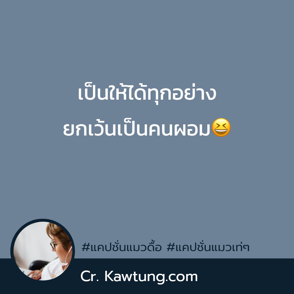 🎫 แคปชั่นแมวตัวโปรด แคปชั่นแมวเท่ๆ