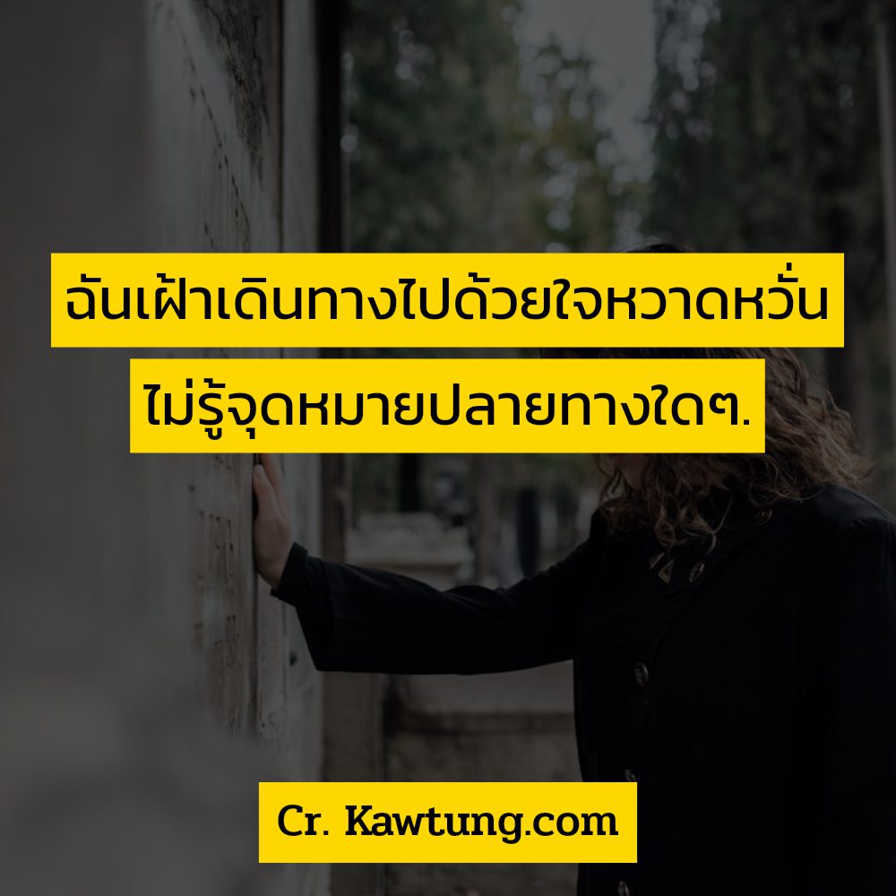 🚜 แคปชั่นเพลงกวนๆ คำคมจากเพลงสากล ต้องแชร์แน่นอน