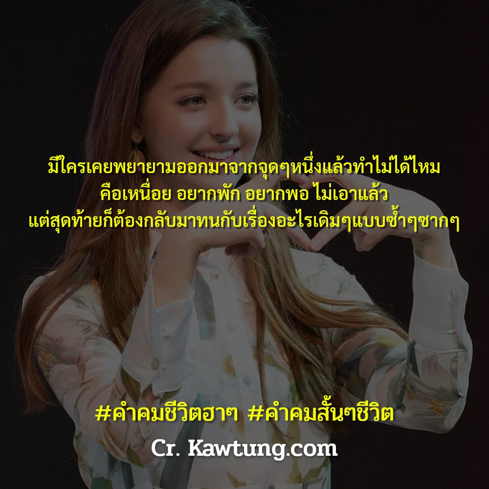 🆓 คำคมชีวิตฮาๆ จาก Line เข้ามา!!