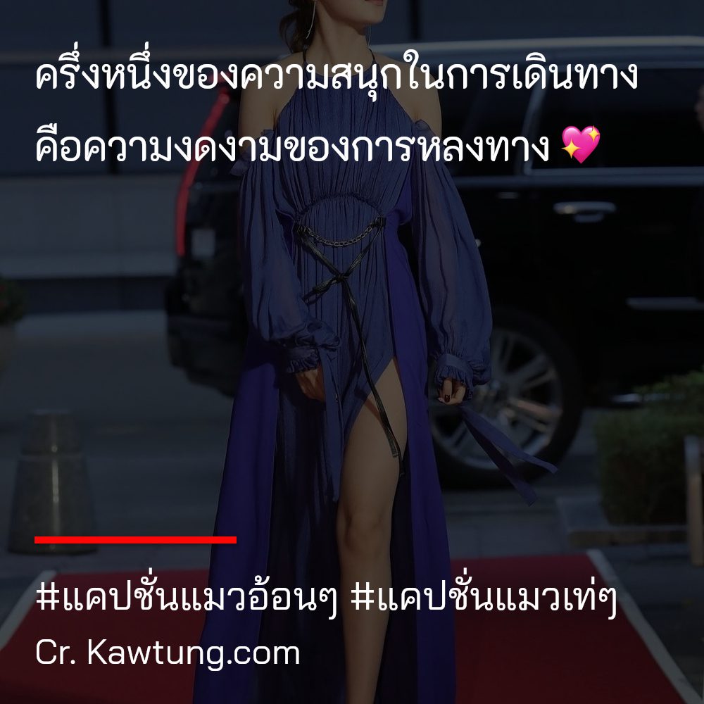 🚫 แคปชั่นแมวนักเลง คำคมแค่ปชั่นแมวตลกๆ แชร์หนักมาก