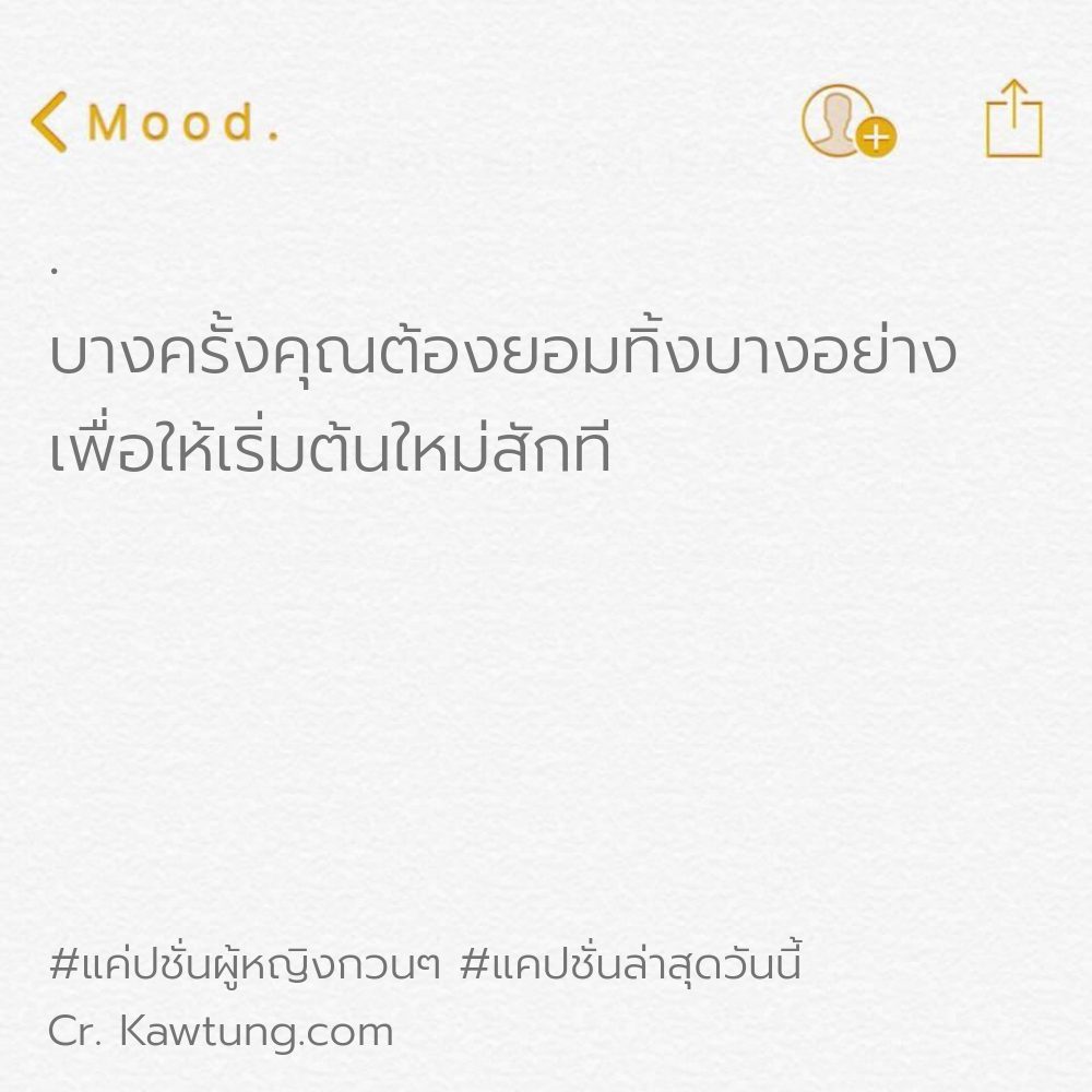 🐱 แคปชั่นกวนประสาท แคปชั่นแค่ปชั่นฮาๆคลายเครียด ถูกใจไหม?