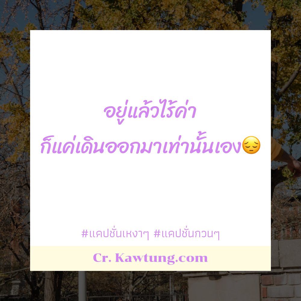 🐬 คำคมคําคมเหงาๆอยู่คนเดียว แคปชั่นเหงาๆ