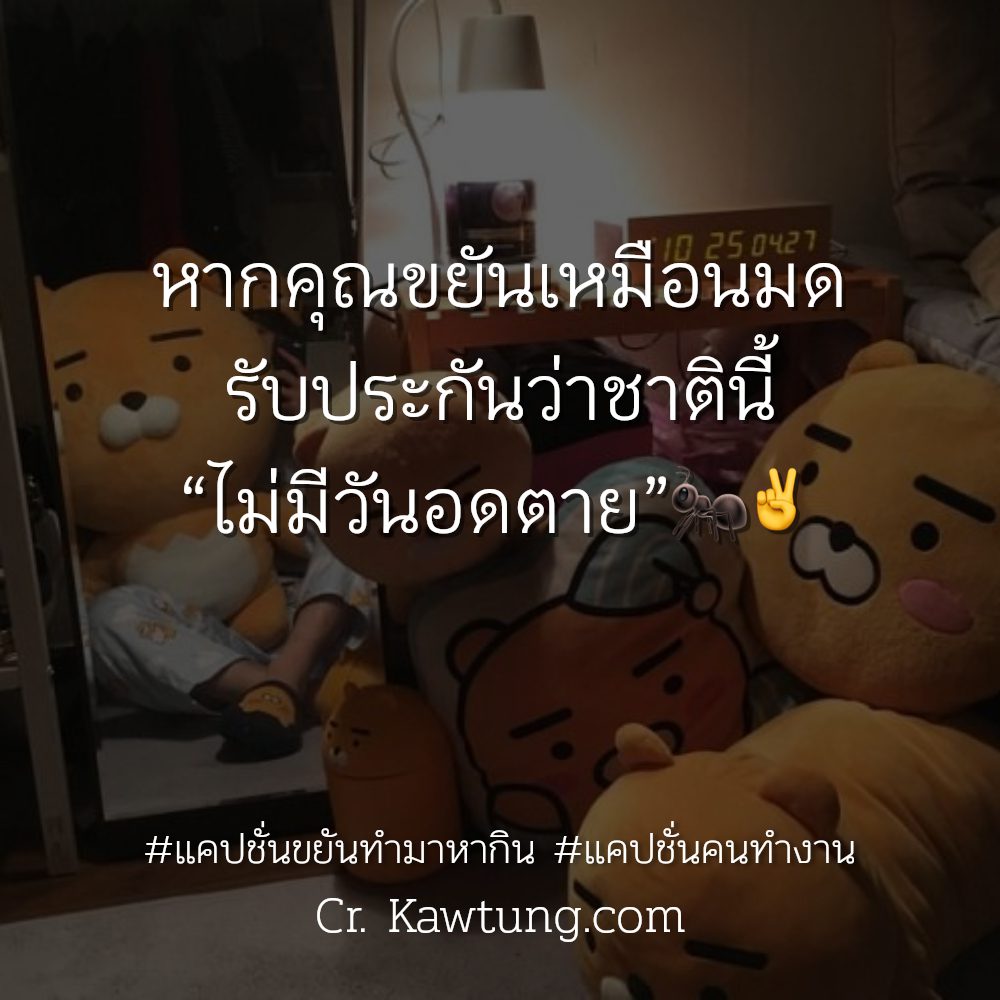 😒 แคปชั่นคนทำงาน มาดูกันเลย