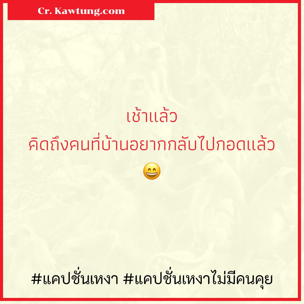 🐊 แคปชั่นเหงา จาก Twitter ลองอ่านดู