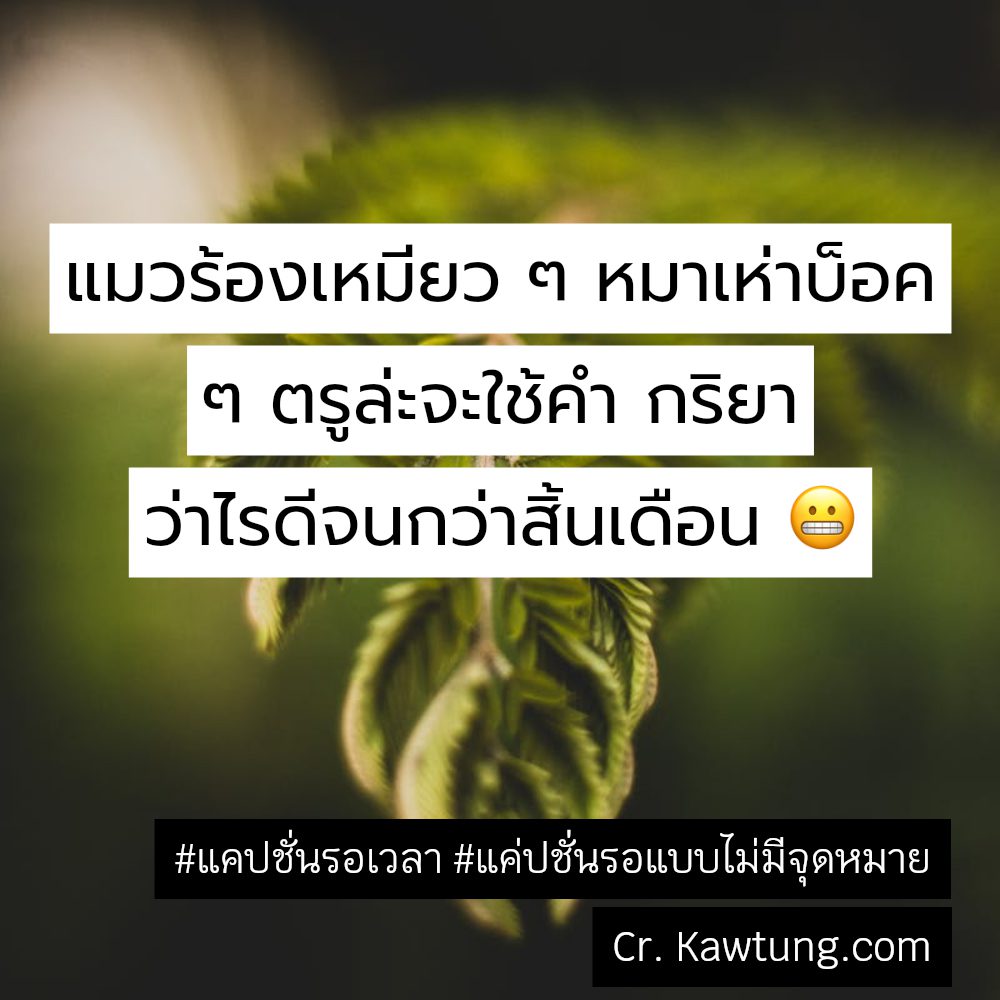 🍯 แคปชั่นรอเวลา จากชาวเฟสบุค แชร์กันเลย
