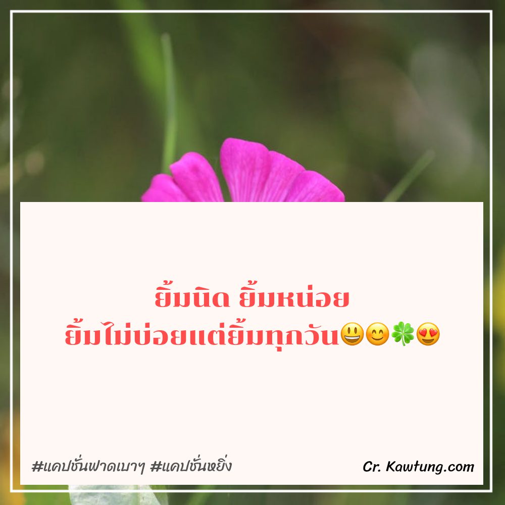 🛀 แคปชั่นหยิ่ง จาก Social ไม่โพสต์มันอยู่ไม่ได้