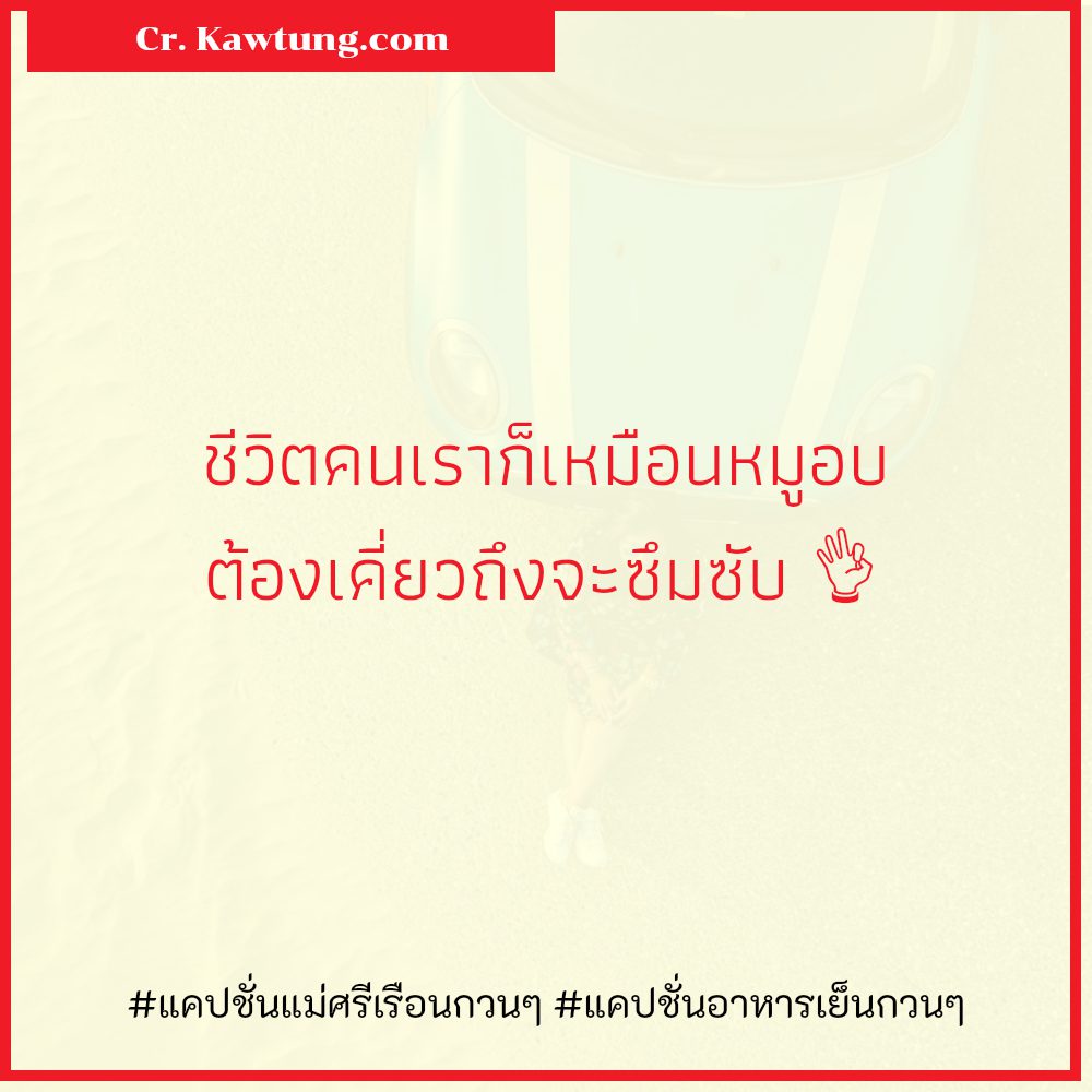 🚑 สเตตัสแค่ปชั่นชอบทำกับข้าว