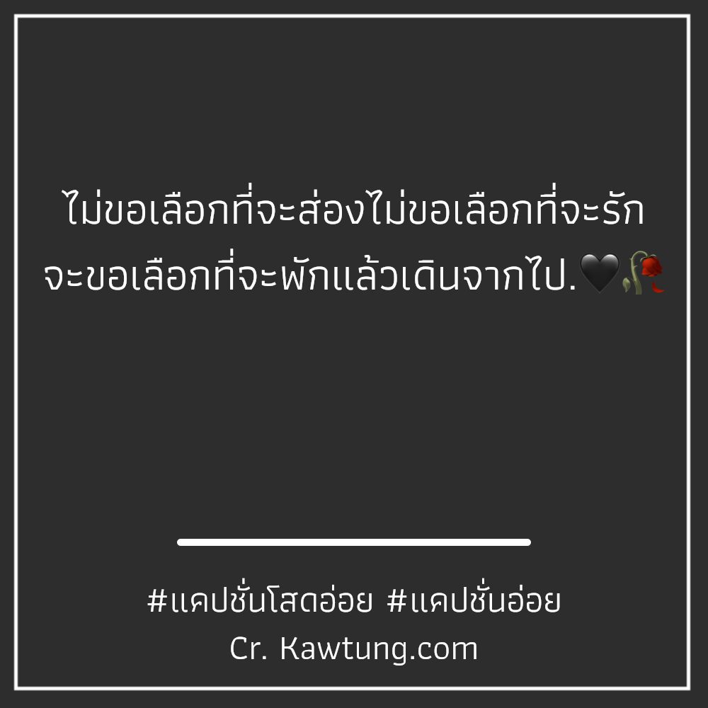 😺 แคปชั่นโสดภาษาอังกฤษ