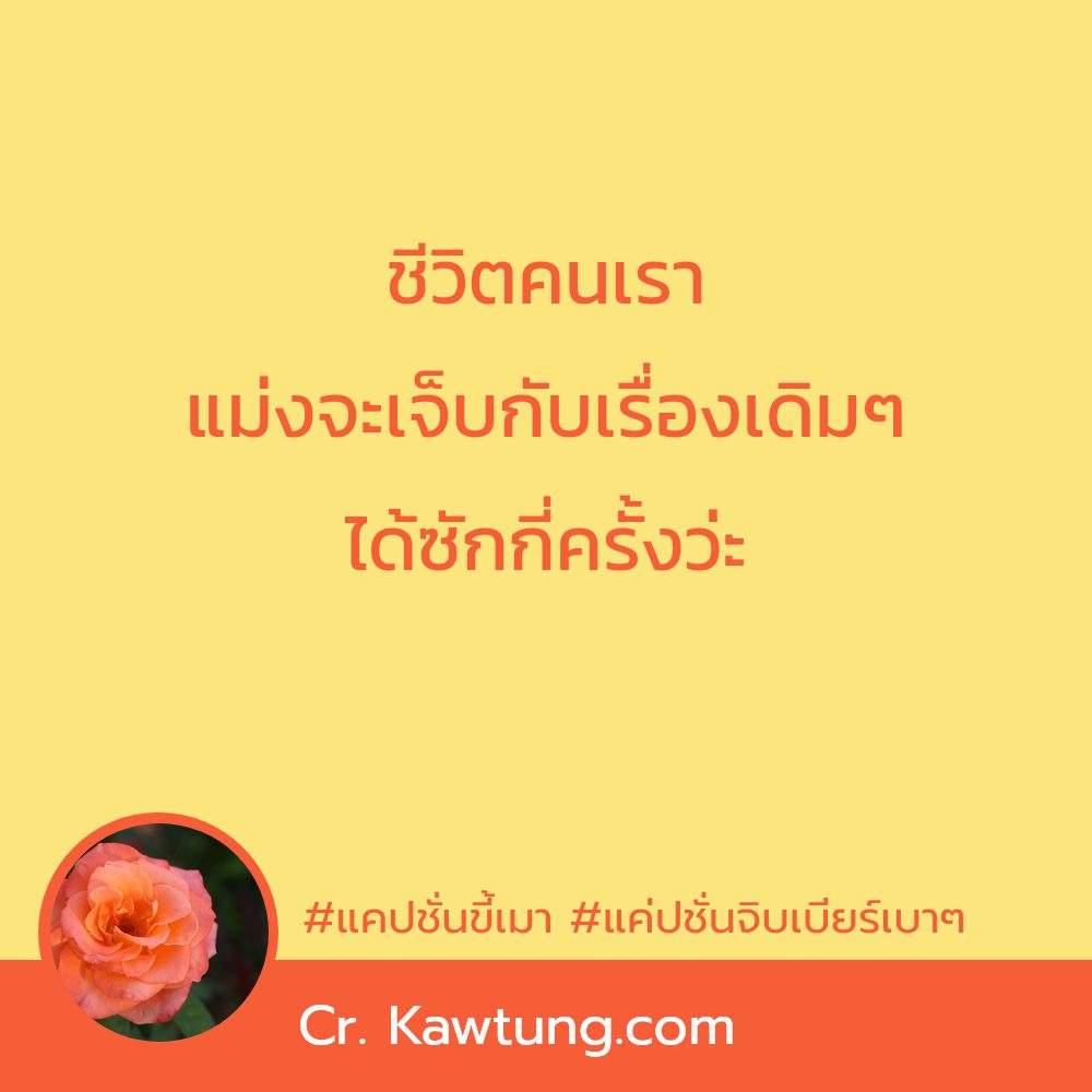 🍙 แคปชั่นร้านเหล้าแซ่บๆ แคปชั่นขี้เมา จากชาวไลน์