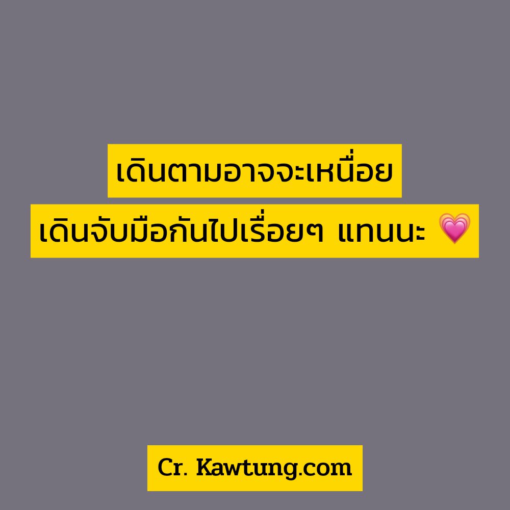 🎫 แคปชั่นแมวตัวโปรด แคปชั่นแมวเท่ๆ