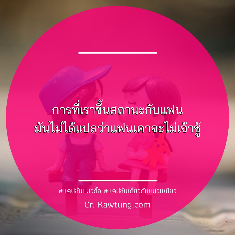 💱 แคปชั่นคำแมว