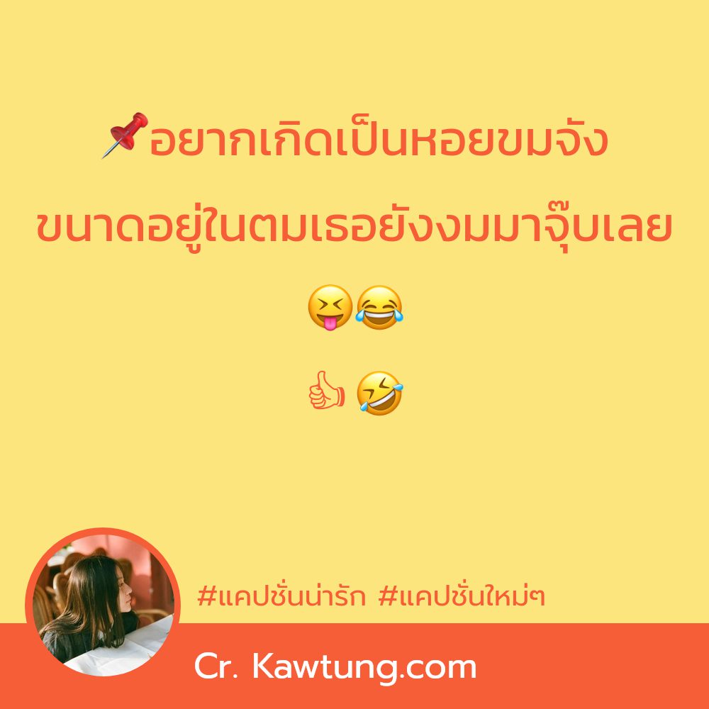 🐫 แคปชั่นคําคมกวนๆฮาๆใหม่ๆ จากชาว Facebook