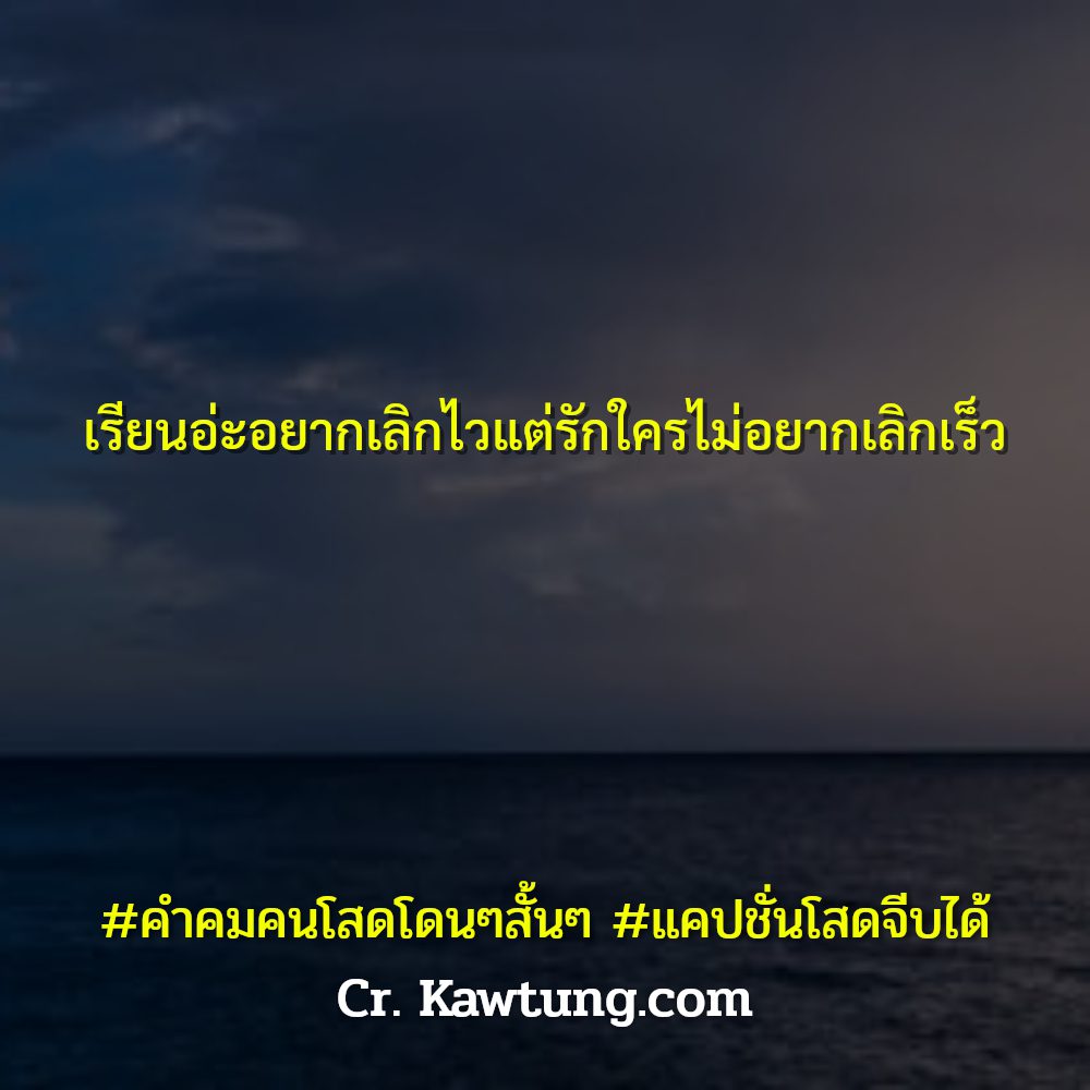 🚘 แคปชั่นโสดจีบได้ สเตตัสคําคมคนโสดกวนๆ เข้ามาเลย