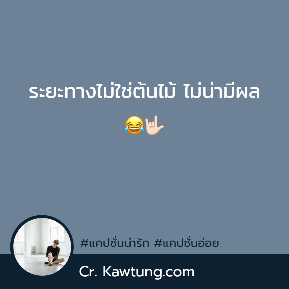 🌸 แคปชั่นเท่ๆคูลๆ