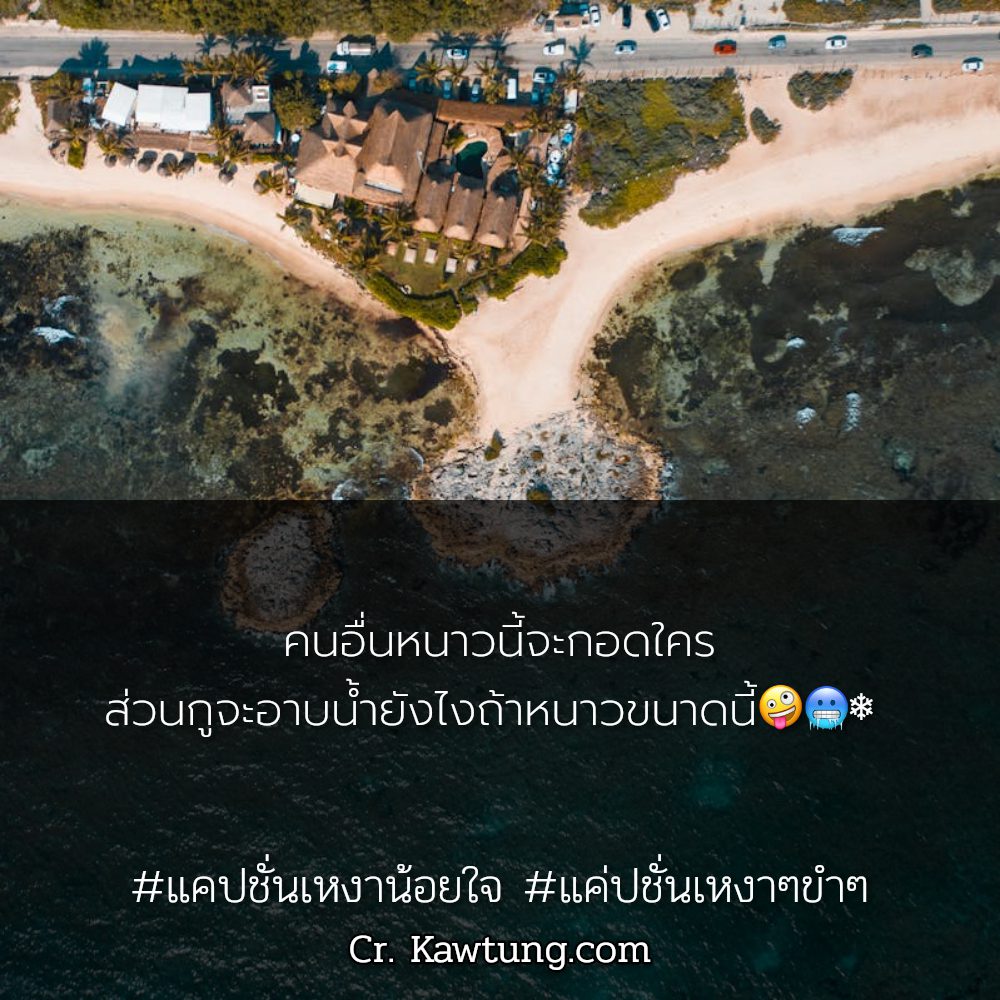 🐊 แคปชั่นเหงา จาก Twitter ลองอ่านดู