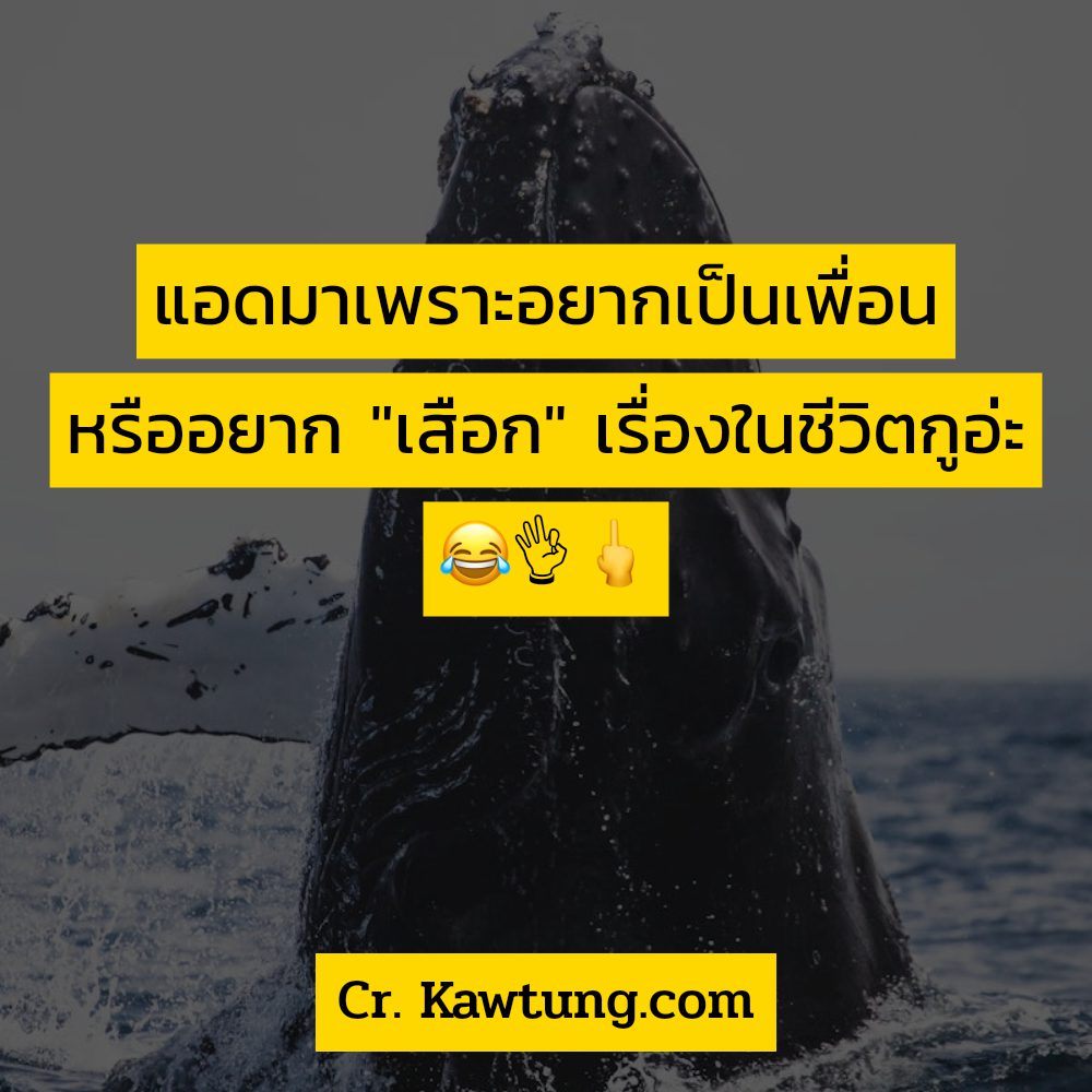 👈 แคปชั่นน่ารัก แคปชั่นอ่อย จากชาว Facebook