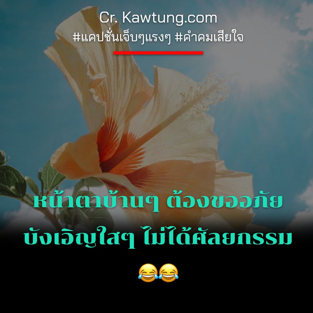 👇 คำคมเสียใจ คำคมคําคมเสียความรู้สึกสั้นๆ จากเฟสบุค กวนนิดๆ