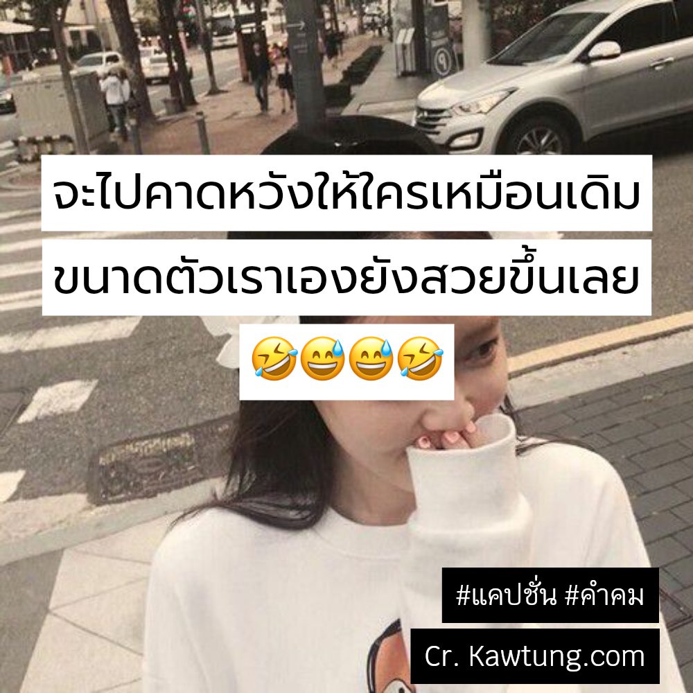 🌳 แคปชั่น จากชาว Twitter ถูกใจไหม?