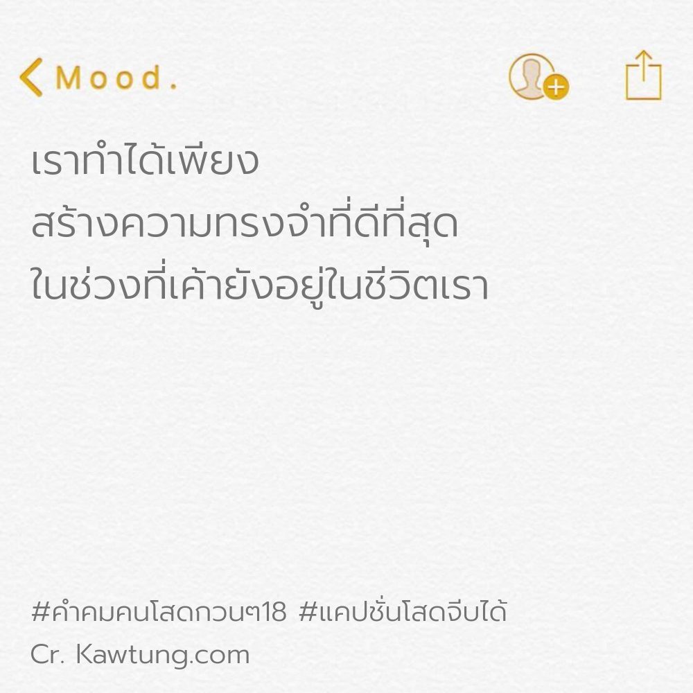 🔣 แคปชั่นคําคมคนโสดโดนๆสั้นๆ แคปชั่นคําคมคนโสดอ่อยๆ
