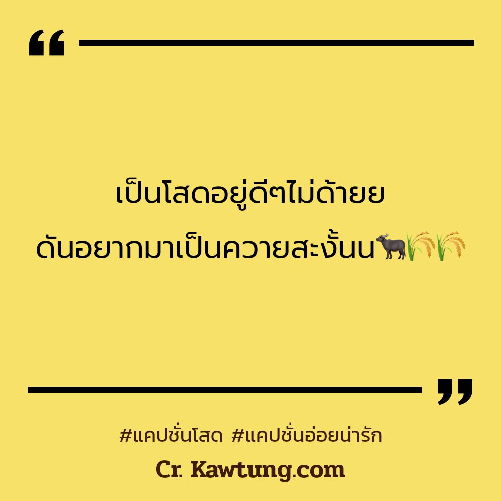 🔱 แคปชั่นน่ารัก