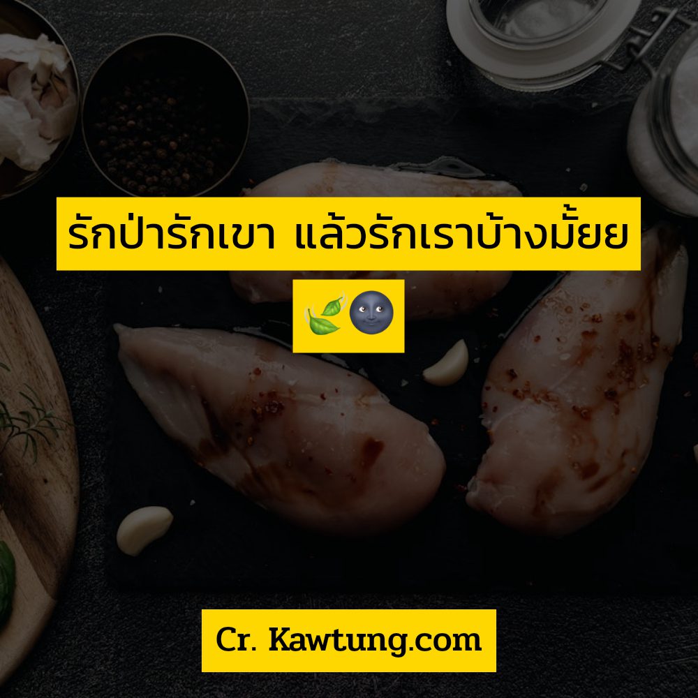 🅱 คำคมแอบรักใครสักคน แคปชั่นแอบชอบคนที่มีแฟนแล้ว