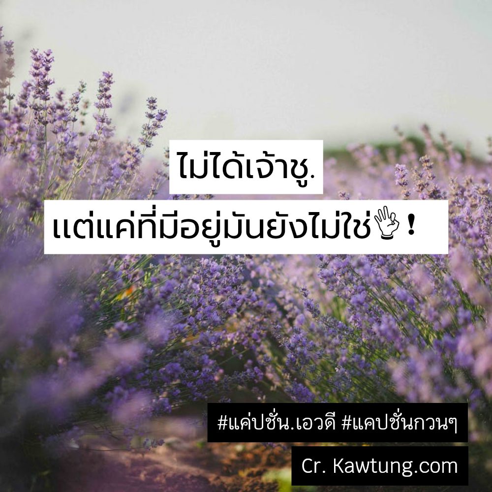 🍪 คำคมแค่ปชั่น.30ยังแจ๋ว