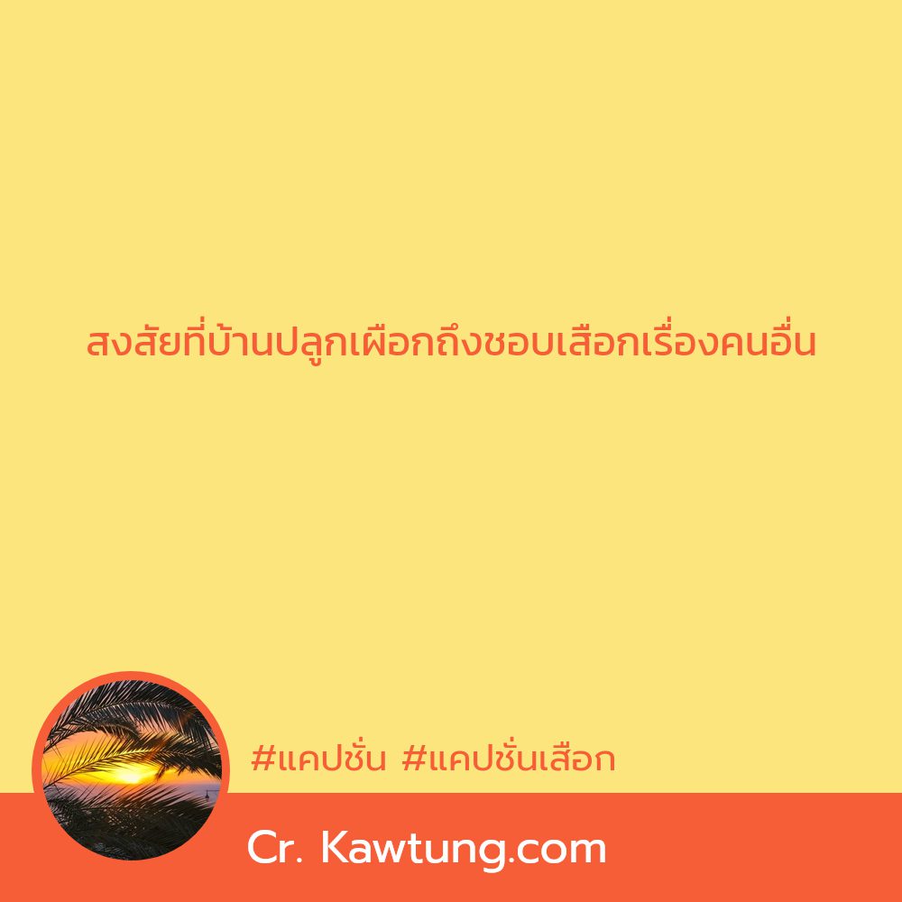 📲 คำคม แคปชั่นเสือก จากทวิตเตอร์