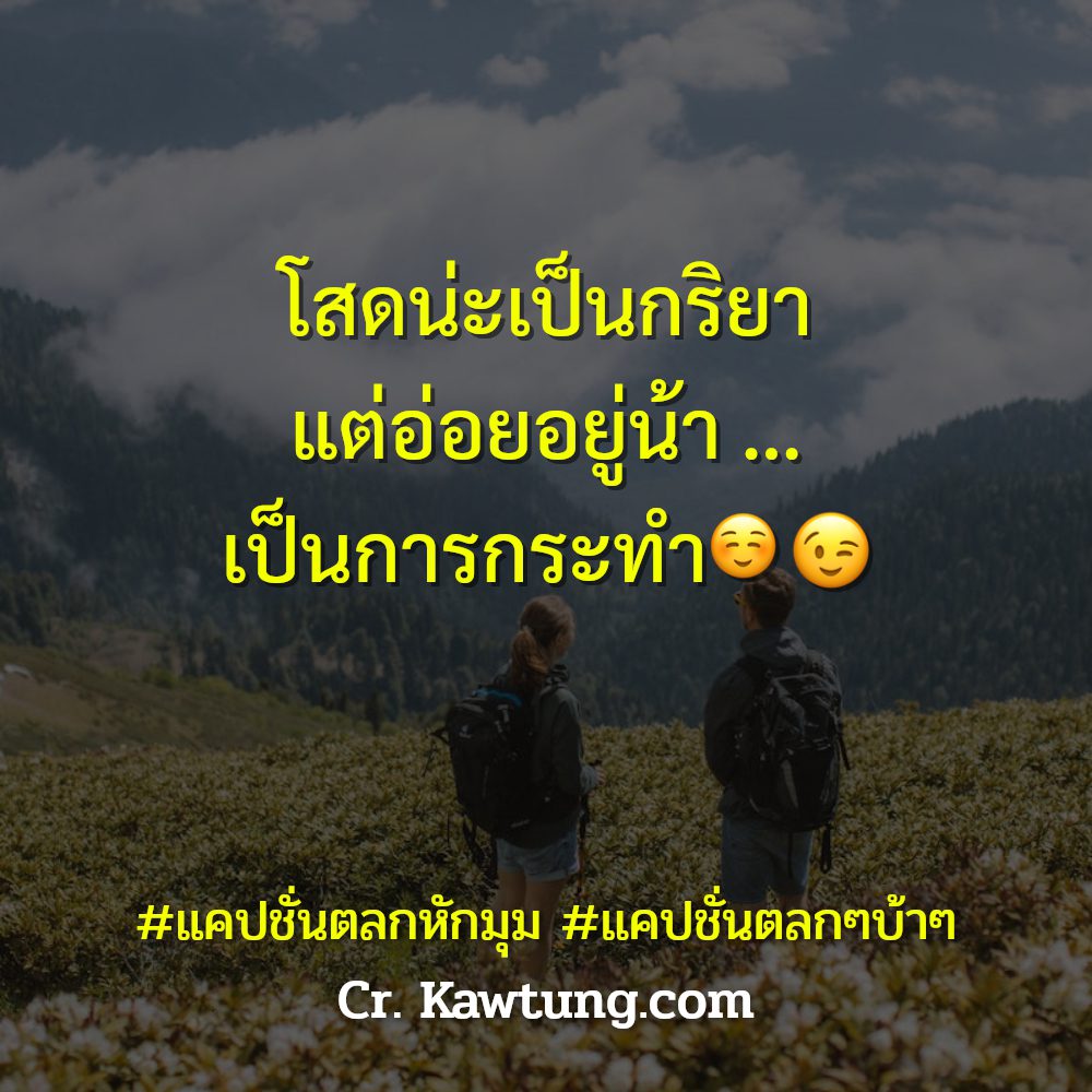 📈 แคปชั่นตลกๆบ้าๆ