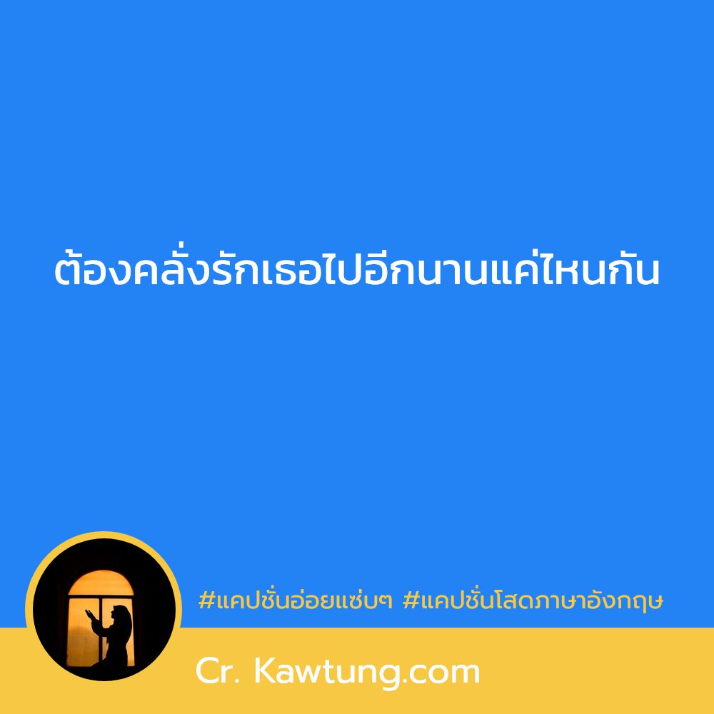 🌹 แคปชั่นโสด แคปชั่นโสดอ่อย จากชาว Pinterest