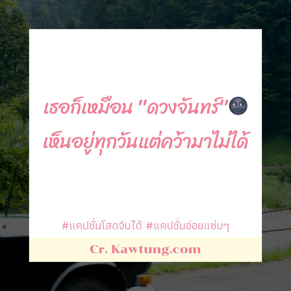 😺 แคปชั่นโสดภาษาอังกฤษ