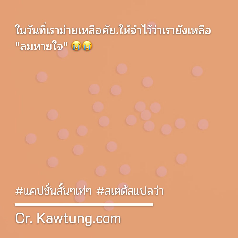 📞 คำคมสเตตัสแปลว่า สเตตัสวลีเด็ดสั้นๆ