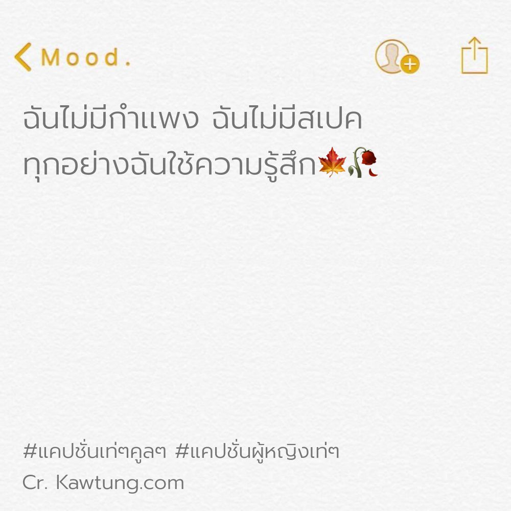 📕 แคปชั่นเด็ดๆแรงๆ จาก Pinterest
