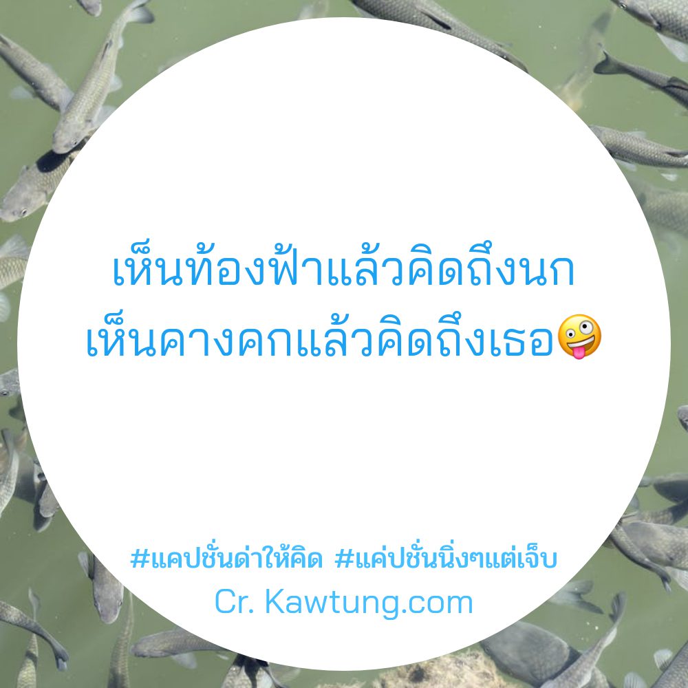 🎫 สเตตัสแค่ปชั่น.ด่าแล้วสะเทือน จากชาว Pinterest