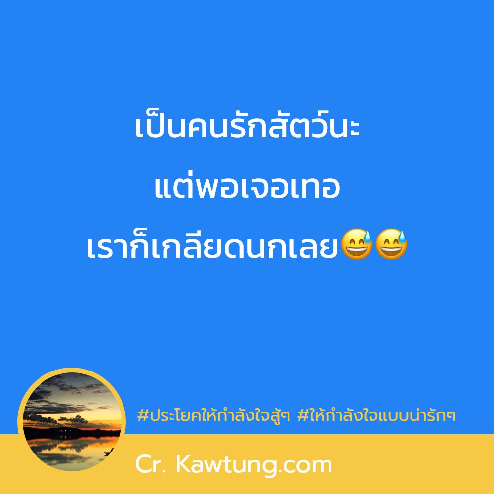 🕒 สเตตัสแค่ปชั่นกำลังใจสำคัญที่สุด ก็ดีนะ