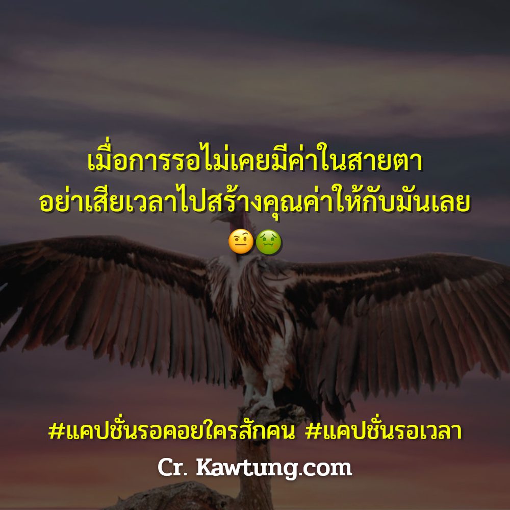 🌝 แคปชั่นแค่ปชั่นรอฮาๆ จาก IG