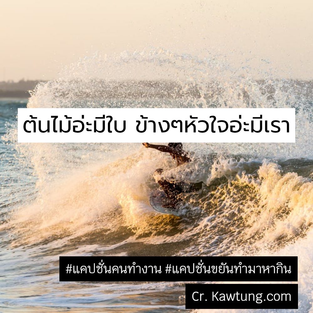 😦 แคปชั่นขยันทํามาหากิน