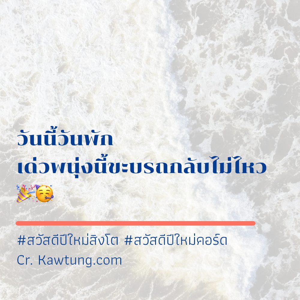 📮 สเตตัสสวัสดีปีใหม่เนื้อเพลง แคปชั่นสวัสดีปีใหม่สิงโต จาก Social